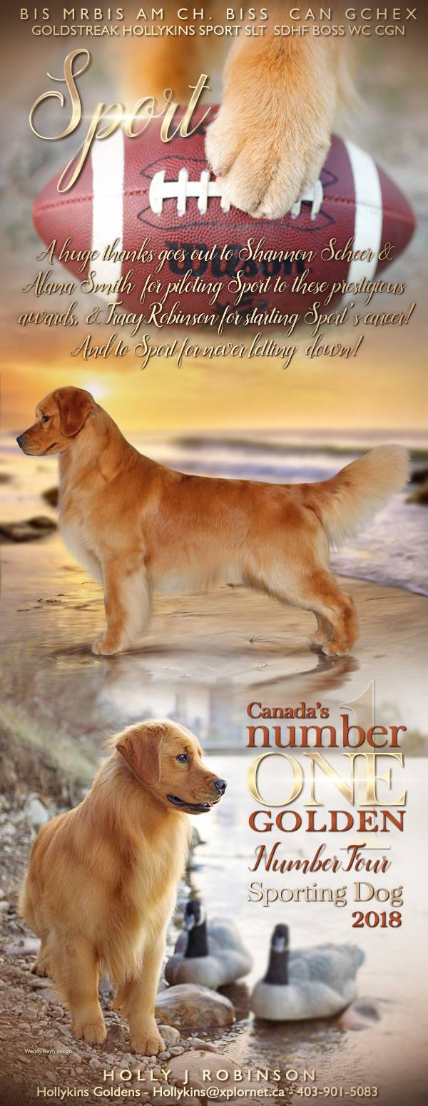 #1 Golden Retriever (Canada 2018)